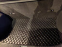 车丽友 专用于比亚迪海豚定制尾箱垫汽车装饰后备箱垫 实拍图