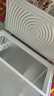 志高（CHIGO）小冰柜家用冷冻小型一级节能省电迷你卧式冷藏保鲜储母乳冷柜 一级能效-268L-单温单门 实拍图