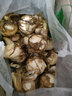 辰实【现货】茨菇新鲜 慈姑 云南白茨姑现挖应季蔬菜燕尾菇 5斤 实拍图