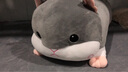 达克鸭 卡通汽车抱枕被子两用多功能午睡枕头空调毯子珊瑚绒个性可爱靠 灰色仓鼠 大号70厘米(含毯子1*1.7米) 实拍图