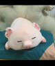 捉趣（ZHUOQU）小猪公仔可爱创意毛绒玩具玩偶陪睡抱枕靠垫娃娃玩偶女生生日礼物 BOBO猪呆萌款 40cm 实拍图