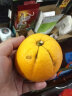 京鲜生 秭归伦晚脐橙5kg 单果约140-170g 新鲜水果 端午礼盒 晒单实拍图