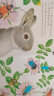 乐乐趣绘本0-3岁 小兔比利触摸书儿童图书婴儿早教书机关书幼儿启蒙宝宝点读书亮丽精美触摸书系列 小兔比利 实拍图