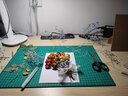 瑞萌特 中空干花相框diy摆台永生花保存立体标本框手工加厚A4画框 原木色(中空3cm+丝带+胶水+灯带+底纸) 8寸(15.2*20.3cm)横竖可摆 实拍图