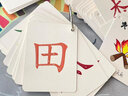 汉状元幼儿园识字卡片3-6岁益智玩具儿童有图象形文字认字启蒙3000生字早教认知卡片 1-100象形字【体验装】+2塑料环 实拍图