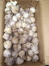 柏馋【精选鲜蒜】紫皮独头蒜新鲜辛辣香 新蒜干蒜当季整箱农家自种整 独头蒜  中果2.5-3.0cm 5斤 实拍图