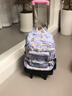 BOLERBEAR中小学生书包拉杆架通用初中儿童手拖拉小拉车推爬楼梯可折叠静音 粉色静音大轮【背板款】 实拍图