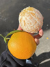 趣觅鲜奉节脐橙重庆纽荷尔脐橙子新鲜水果甜鲜福本橙子礼盒装 9斤装小果26-30个 实拍图