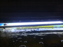 森森鱼缸潜水变色LED水草冒泡七彩灯水族箱造景灯龙鱼防水灯管不红水 森森双排 98cm/20W【蓝白/白色 二选一】 实拍图