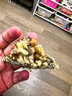 切糕王子切糕王子新疆特产美食八宝玛仁糖古代传统糕点小吃大块正宗 传统切糕500g*3 实拍图