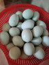我老家鲜谷物喂养新鲜散养绿壳蛋乌鸡蛋 40枚 实拍图