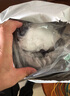 雅鹿毛毯空调毯被子加厚拉舍尔毯子毛巾被盖毯沙发毯单人办公室午睡毯 一鹿有你【加厚保暖双面绒】 150*200cm【双层加绒约4斤】 实拍图