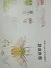 动物大发现手绘科普翻翻书：恐龙世界（欧洲生物学家联手知名插画家手绘科普，逼真铅笔画复现远古恐龙界！）   实拍图