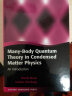 现货 凝聚态物理中的多体量子理论导论 Many-Body Quantum Theory in Condensed Matter Physics: An Introduction 晒单实拍图