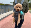 DogLemi宠物中小犬外出户外背包双肩骑行胸前包透气网布狗包DogLemi 灰色 L（11-20斤内） 实拍图