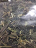 临世堂500g千里光中草药中药新鲜干货九里明九里光野洗眼水洗澡泡澡 千里光250克 实拍图