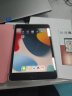 Apple苹果iPad mini5/6 iPadair3/4 2021款iPadPro二手平板电脑 iPad mini5 64G WiFi版  99成新 实拍图