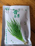 寿禾 四季红葱头小葱种子火葱头四川干皮秋季蔬菜莱疏菜阳台种种籽 农家小香葱种子150g（50gx3包） 实拍图