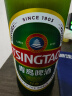 青岛啤酒（TsingTao）经典系列 大容量浓郁麦香600ml*12瓶 整箱装 秋日出游 实拍图