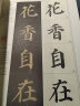 墨点字帖 颜真卿多宝塔碑字帖楷书入门视频教程书墨点初学者颜体楷书毛笔书法教程名师讲解对照临摹本颜真卿楷书毛笔字帖笔画偏旁部首结构 实拍图