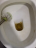 楚婕雅草酸清洁剂强力瓷砖地面地板砖清洗除水泥外墙溶液厕所马桶洁厕液 实拍图