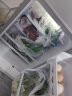 冰熊（BingXiong） 三门小冰箱多门冷藏冷冻小型迷你家用商用冰箱宿舍出租房全国联保 BCD-72S178银三门72升【一级能效】 晒单实拍图
