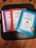 GRE考试神器  小小的蓝色逻辑书+红色写作书+紫色概率书（套装共3册） 实拍图