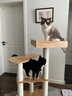 兽牌云端实木猫爬架小户型猫架带窝猫咪抓柱猫架子猫树猫窝猫抓板一体 云端S2【顶窝更大+多跳台】 实拍图