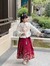 女童国风冬装马面裙套装过年拜年服冬季儿童秋冬新年汉服喜庆唐装 裙子+上衣+披风 130 晒单实拍图