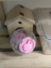 宠尚天 仓鼠跑轮球龙猫大号转轮带支架松鼠仓鼠金丝熊用品玩具 挂绳+水晶跑球 粉红20cm 实拍图