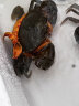 【活蟹】掌昕鲜三门青蟹 公母对蟹（5-6两/只）4只 生鲜活螃蟹海鲜水产送礼盒非梭子蟹 晒单实拍图