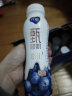蒙牛纯甄甄酸奶寒地蓝莓风味酸奶PET瓶230g×10瓶（礼盒装） 实拍图