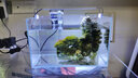 YEE鱼缸金晶超白金鱼裸缸8060家用客厅桌面小草缸龟缸玻璃生态溪流缸 35x20x22【过滤+灯套餐】 实拍图