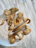 相遇红颜现货24小时达云南特产新鲜野生菌见手青红葱青头菌白葱鸡枞牛肝菌 精选大白独鸡枞菌 500g 实拍图