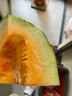 晓蜜18号新鲜爆甜哈密瓜现摘高质量哈密瓜产地包邮 净重：9斤 实拍图