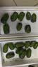 泰汇吃【顺丰直达】丹东龙城2号软枣猕猴桃 东北软枣小猕猴桃迷你奇异莓 净0.5斤中果（10-15g）长果更好吃 实拍图