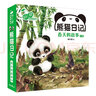 杨红樱启蒙图画书熊猫日记第二辑：夏天的故事，一套教给孩子睁眼看世界的启蒙教育图画书 实拍图