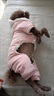 阿莫尔可爱宠物狗狗衣服泰迪小型犬加厚秋冬装四脚加绒猫咪衣服棉衣服饰 大眼睛（粉色） XS 建议1-3斤 实拍图