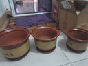 青意萱青意宣 落地紫砂陶瓷花盆红砂紫砂花盆 客厅花卉绿植粗砂花盆 口径19cm+22cm+25cm 按口径发货 实拍图
