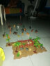 纽奇（Nukied）儿童恐龙玩具男孩3-6岁动物模型霸王龙长颈鹿野生动物套装礼物 带场景恐龙动物74件套 实拍图