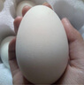 我老家 新鲜生鹅蛋 农家散养大鹅蛋 孕妇宝宝营养辅食鲜鹅蛋 6枚装 单枚120-140g 实拍图