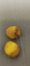 新果 新鲜银杏果生白果 鲜果仁 精选大颗粒5斤带壳（带夹子食谱） 【阴凉通风处保存 实拍图