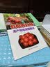 有机西红柿高产栽培流程图说 科学技术文献出版社 仪伟秀马新立王广印 著作 书籍 实拍图