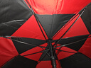 天玮伞业（Tianwei umbrella）双层自动雨伞男士长柄伞特大号双人三人暴雨专用抗风超大可定制 实拍图