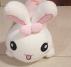 红运来小兔子毛绒玩具公仔玩偶布娃娃睡觉抱枕七夕情人节送女友老婆礼物 粉色开心每一天 70厘米（+小挂件） 实拍图