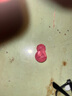 摆件微景观可爱动物卡通发光彩色小兔子夜光萌兔园艺植物树脂配件 随机色大号一个 实拍图