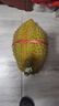 晨臻泰国进口金枕头榴莲鲜果新鲜水果 软糯香甜 金枕榴莲9-10斤（1-2个装） 实拍图
