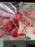 樱桃萝卜300g 实拍图