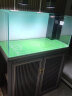德克（D&A）小彩系列兰寿水草缸超白玻璃植物生态造景缸家用客厅底过滤水族箱 库里灰-基础款 100x50x135cm 晒单实拍图