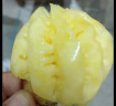 松鼠沫沫小菠萝泰国进口新鲜水果5斤可选应当季迷你香水菠萝凤梨次日达 A+商超精品优果(3-4个/斤) 净重1斤 晒单实拍图